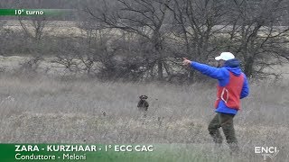 Serbia: 30 minutos de alta competencia de continentales: 1 CACT y 1 RCACT