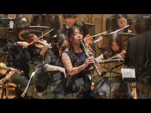 Clarinet Concerto No.2, Op.5 I.Allegro by Bernhard Crusell