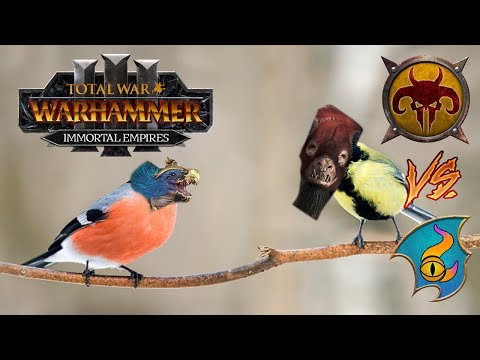 BIRD LORD DUEL OF FATES | Tzeentch vs Beastmen - Total War Warhammer 3