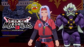 드래곤 퀘스트 몬스터즈 3: 마족 왕자와 엘프의 여행 한글판 SWITCH, 패키지칩_동영상_이미지