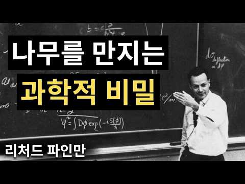 매일 나무를 만져야 하는 이유 — 아무도 알려주지 않는 과학