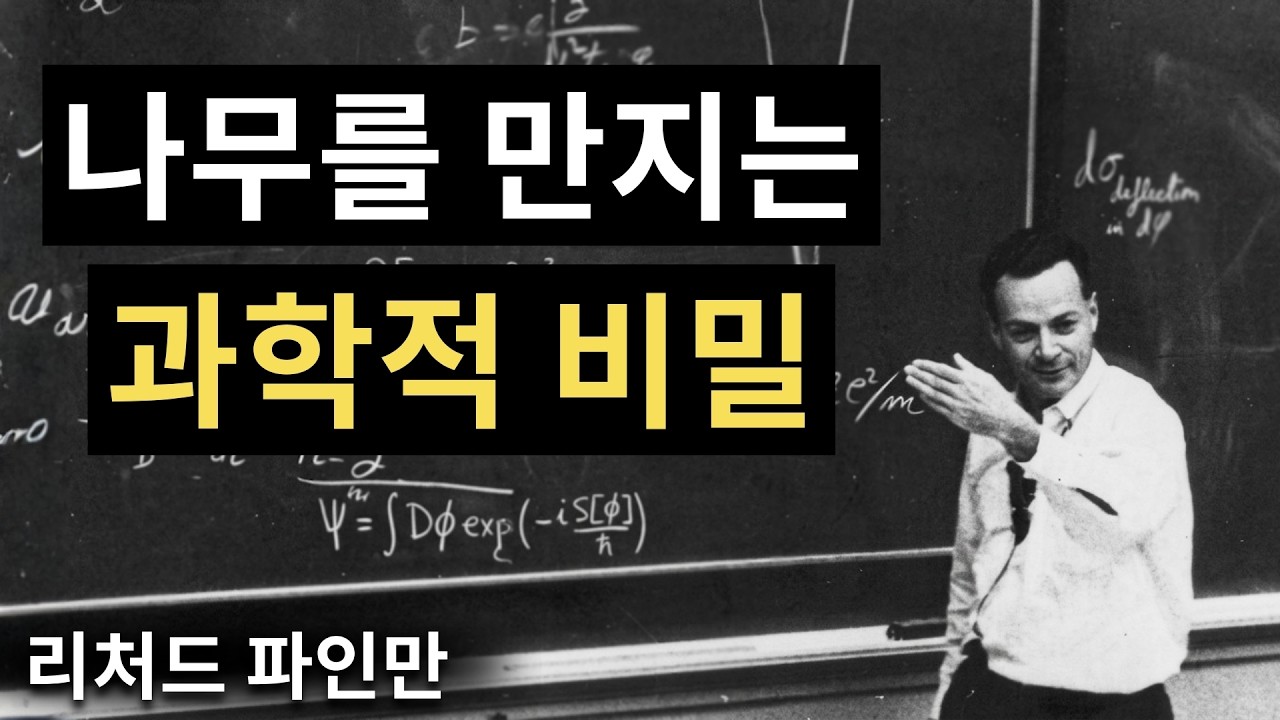 매일 나무를 만져야 하는 이유 — 아무도 알려주지 않는 과학