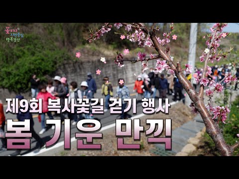 봄 기운 만끽(복사꽃길 걷기 행사)