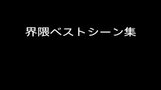 猫氏界隈ベストシーン集