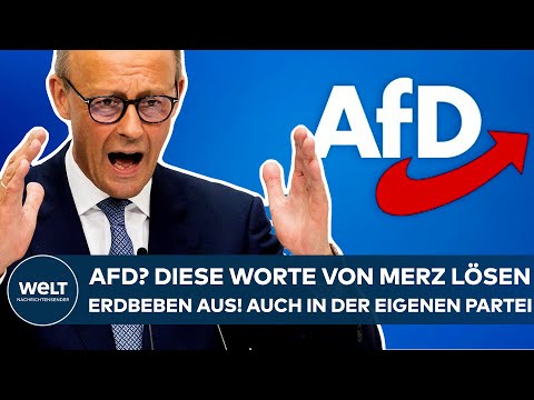 FRIEDRICH MERZ: Diese Worte vom CDU-Chef zur AfD lösen ein Erdbeben aus! Auch in der eigenen Partei!