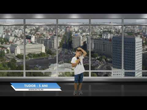 TUDOR BURLACU ne prezintă vremea - Proiect Meteo cu Daniel Nițoiu la Școala TV Dicție.ro