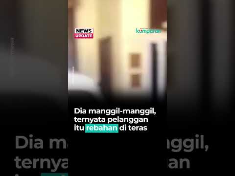Viral Pemuda di Sidoarjo Bugil saat Terima Pesanan Ojol, Polisi Turun Tangan