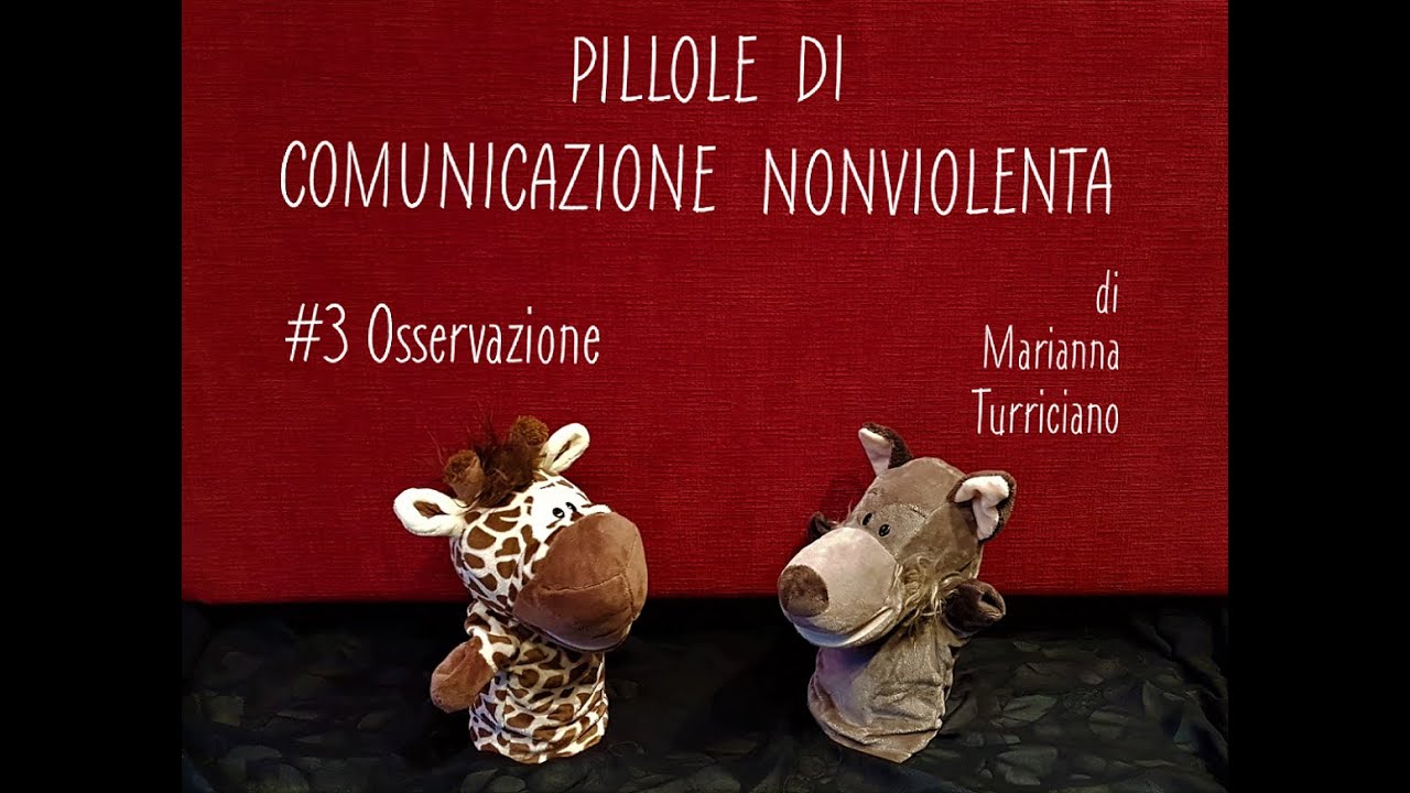 Marianna Turriciano-17