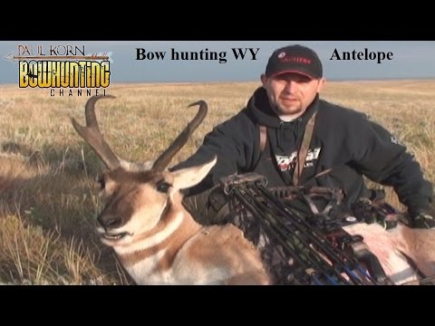 Bow  hunting  Antelope over water how we hunt Pronghorn shot placement for quick kill
