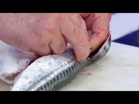 In cucina con Silvio Greco: come cucinare lo sgombro?