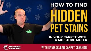 How to Find Hidden Pet Stains in Your Carpet Using a Moisture Meter