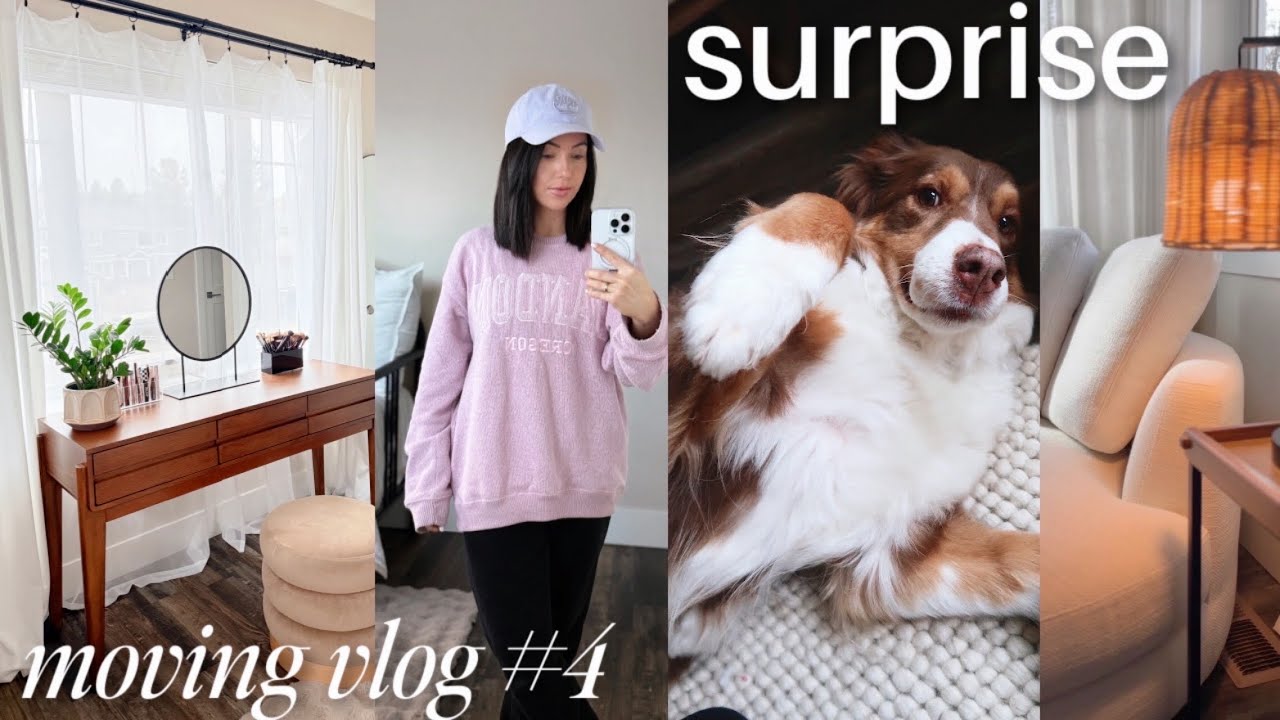 surprise! adoption story, makeup organization + vanity setup, new furniture 🏡 MOVING VLOG ep 4