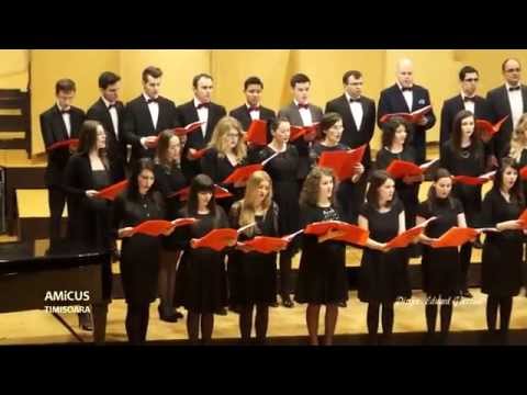 AMiCUS Timisoara - CRESTINI DIN TOATA ZAREA / Leonhard Schroeter