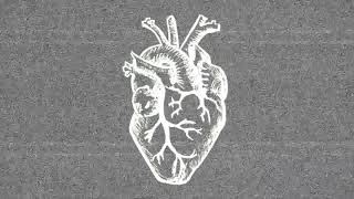 the resurrectionist or an existential crisis in c# cover\\ frnkiero andthe patience