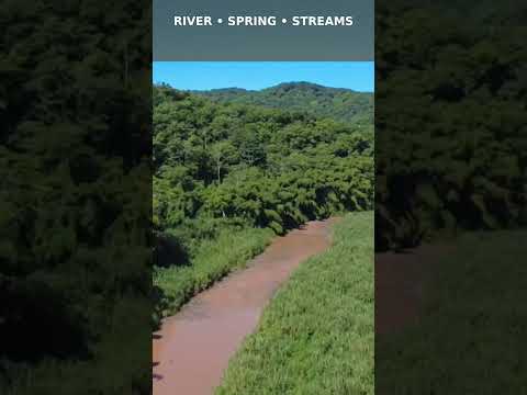 100+ Acres in Puerto Rico 🇵🇷 | Finca & Agricultural Land