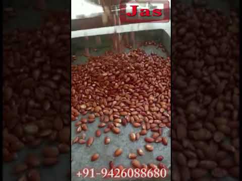 Centrifuge Dryer Machines Improve Nut Processing Efficiency