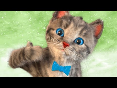 LITTLE KITTEN ADVENTURE GAME - KITTY EATS HALLOWEEN TREATS & FOOD - KITTEN REACTIONS - CHILDRENS APP