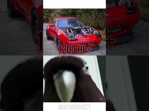 STOCK VS TUNED 🤩 #cartok #rx7 #miata #lamborghini #civic