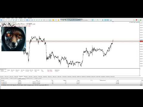 Video Fox Wave Hidden TP and SL MT5