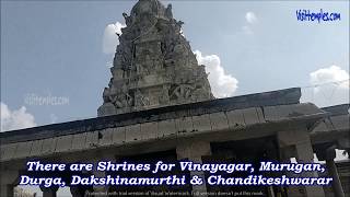 Temple video