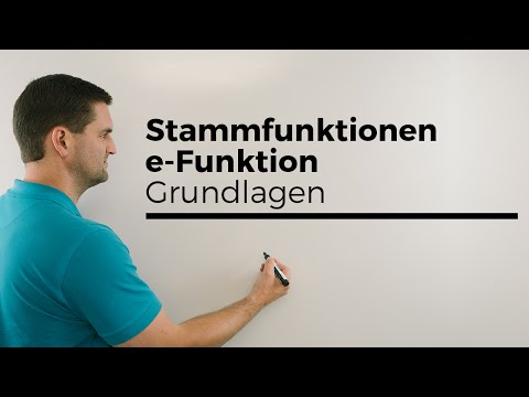 Stammfunktion bilden bei e-Funktion, Grundlagen, Exponentialfunktion | Mathe by Daniel Jung