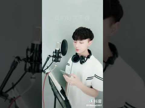 起风了改编版