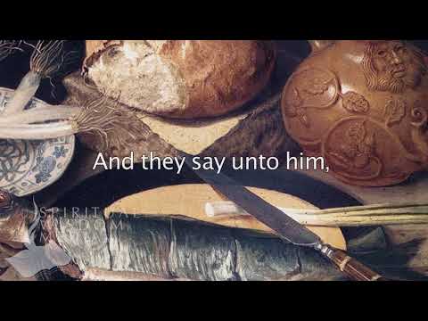 Matthew 14:17 - And they say unto him, We have here but five loaves, and two fishes - Bible Verses