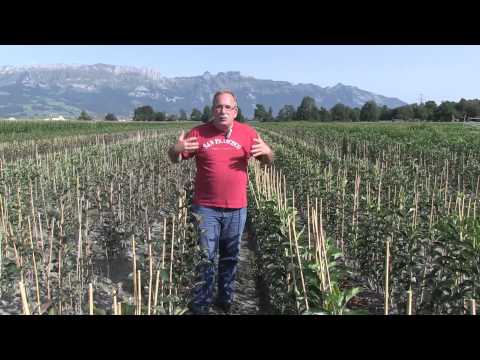 Geduld und Ungeduld im Garten