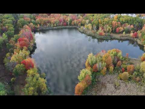 Clairo - Sofia Song New England Foliage Drone Video Saugus 4K