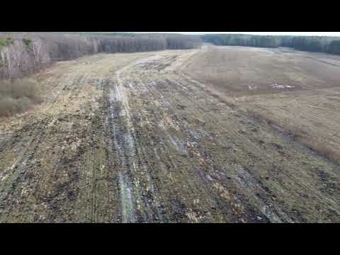 Baranicha Łaskarzew