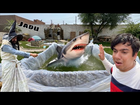 Zoo Mein JaduGar Agea 😰 Pool Sy Shark Fish Nikal Di 🐟