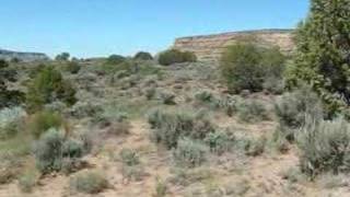 preview picture of video 'Recreational/Income Property at Navajo Dam, New Mexico'