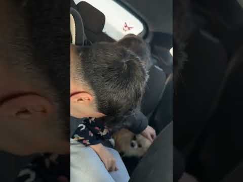 ميني سارة الحيوانة شوفو شو عملت نور