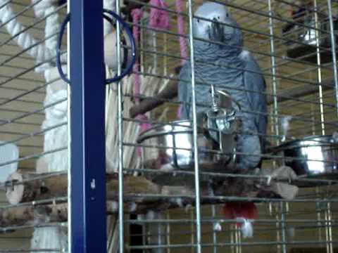 Jaquomo am quatschen