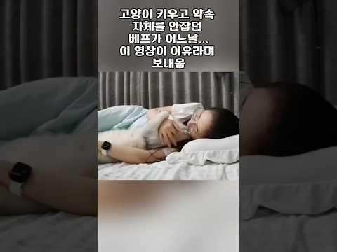 고양이 키우고 약속 자체를 안잡던 베프가 어느날...