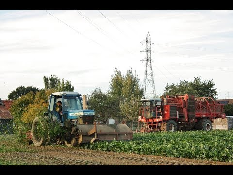 Landb. Van Hoe - Froyennes - Ford TW-10 - Dewulf R 7050
