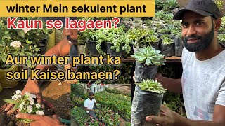 segulent plant variety winter plant soil best best video winter season