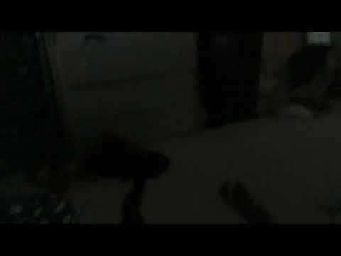 #craftniteboxingmatch