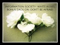 Information Society - White Roses