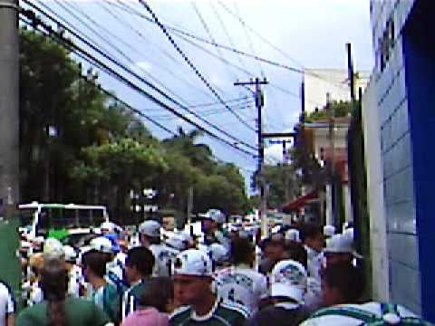 DALHE DALHE PORCO.ASF