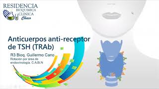 TRAb. Anticuerpos anti-receptor de TSH.