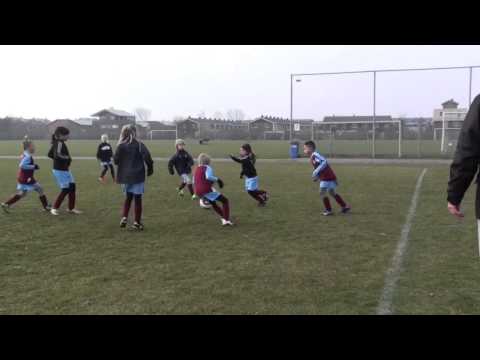 Ben Mesman: Overbos F11- Overbos MF1