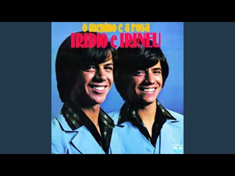 Cachorro Amigo (Cururu)