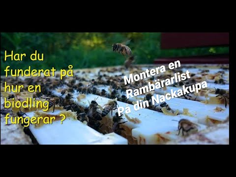 Hur du monterar rambärarlister på Nackakupan