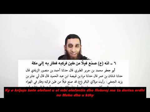 31. Kush jane shijat? Bujar Rogova, elefanti fluturon sipas shijave