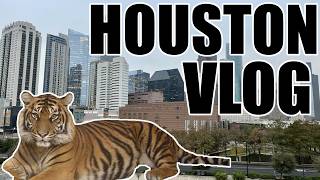 Two Days In Houston Vlog 2026 (Aquarium, Immersive Art, Food & Drinks)