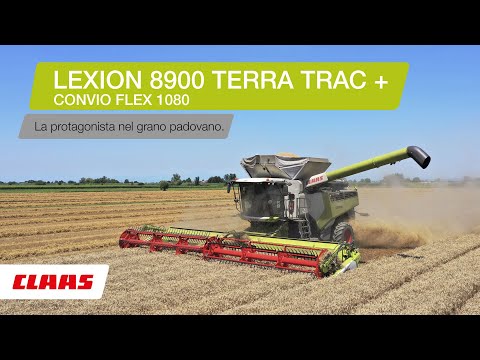 CLAAS In Campo 2020- LEXION 8900 su mais