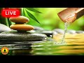  Relaxing Zen Music 24 7 Healing Music Meditation Music Spa Music Sleep Zen Nature Sounds