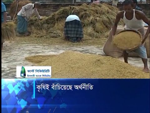 কৃষিই বাঁচিয়েছে অর্থনীতি