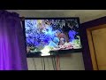 Opening To Caillou Caillou S Holidays 2002 VHS